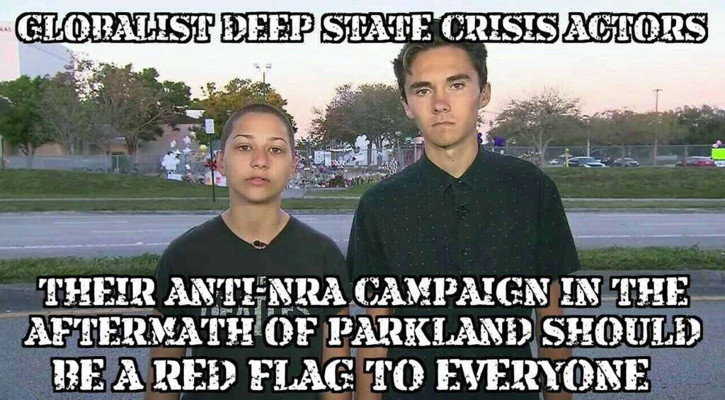 Image suggesting that Parkland students were "globalist deep state crisis actors"